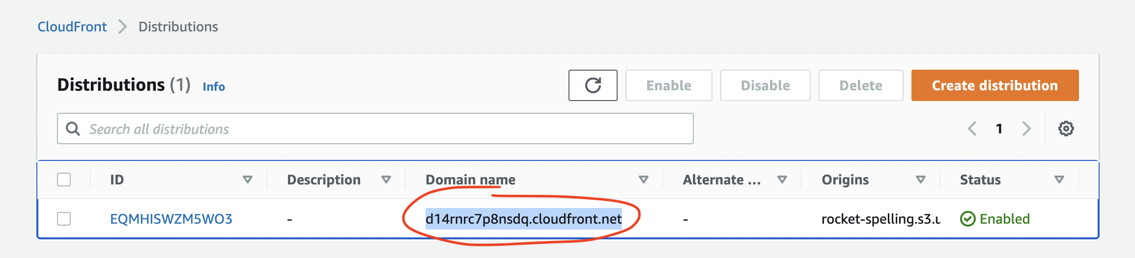 CloudFront distribution domain name