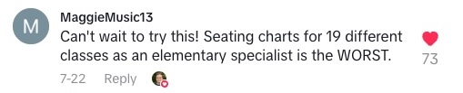 TikTok comment that says "Can't wait to try this! Seating charts for 19 different classes as an elementary specialist is the WORST."